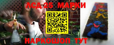 apvp Бийск