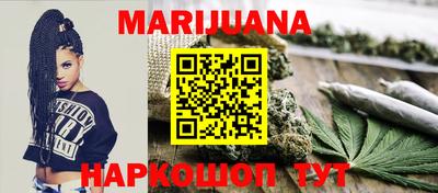 apvp Бийск