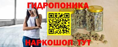 apvp Бийск