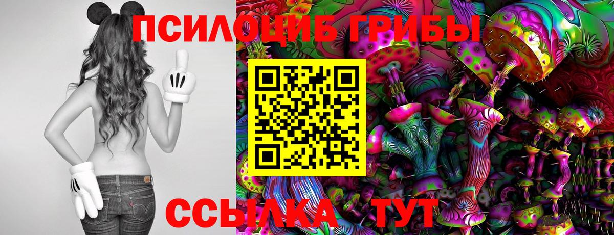 Кирово-Чепецк  Псилоцибиновые грибы GOLDEN TEACHER  Вход с VPN 